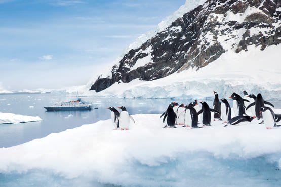 Экспедиция в Антарктику - мир айсбергов и пингвинов