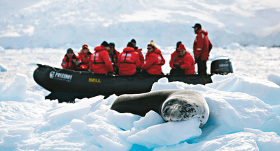 Тюлени Антарктического полуострова