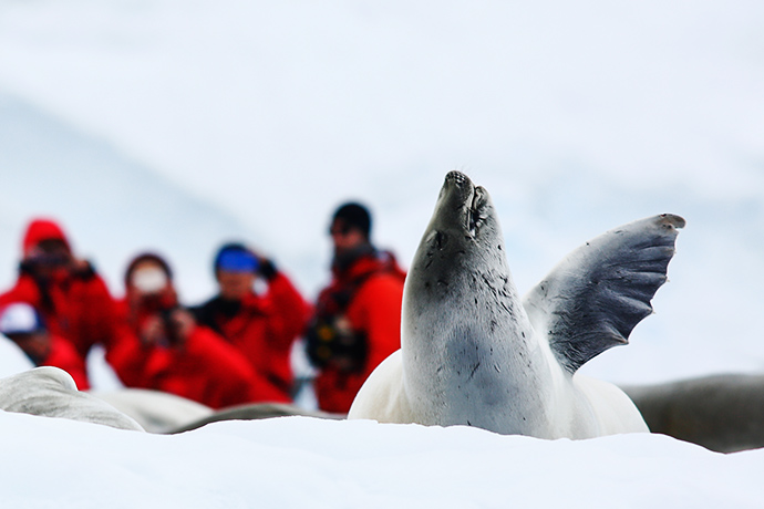 Живая природа Антарктики