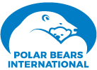Polar bear international