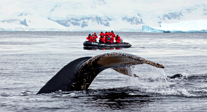 Рассказ о круизе в Исландию, часть 5, встреча с синим китом