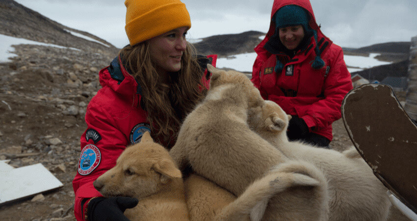 Встреча с Гренландскими собаками