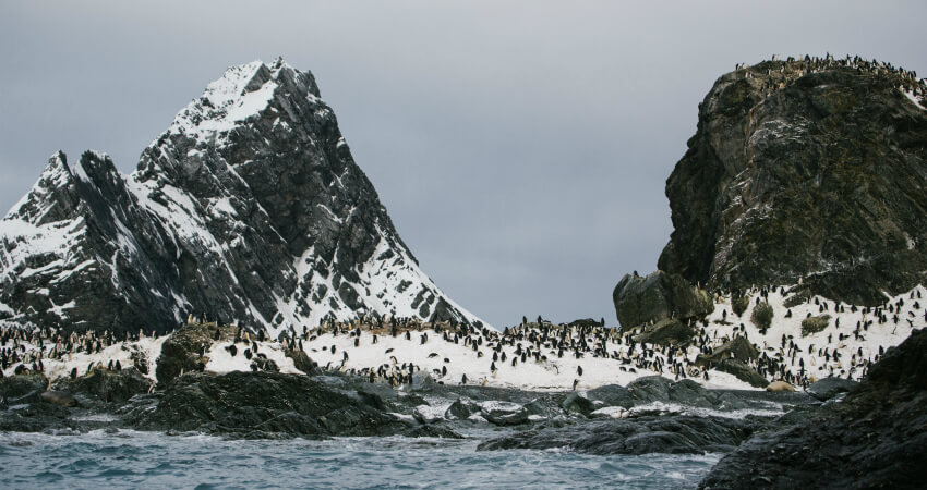 Остров Элефант - полярные антарктические круизы